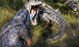 ǰ�����湥��